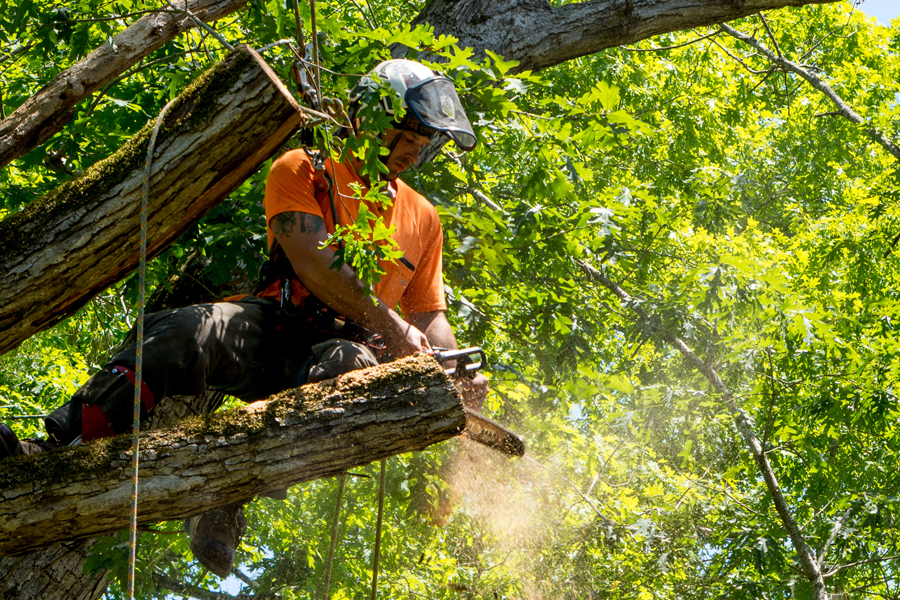 serv2